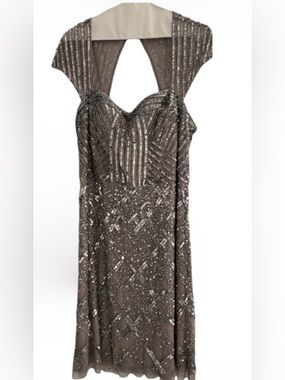Adrianna Papell Silver Sequin Dress size 16